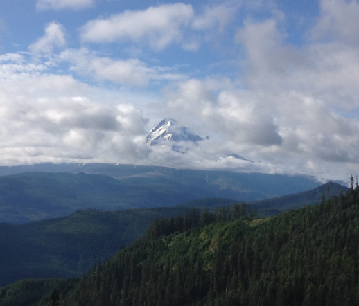 pct-2016-07-19-clearningmthood